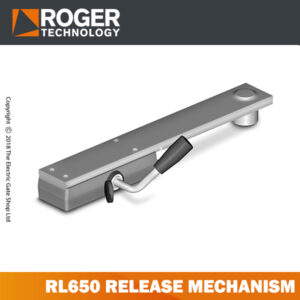 Roger Technology H80 2 Button Electric Gate Remote Control